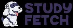 Study Fetch logo